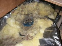 天井裏や床下、営巣断熱材にたくさんのダニ・ノミがいます。
